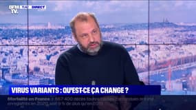 Virus variants: qu'est-ce que ça change ? - 16/01