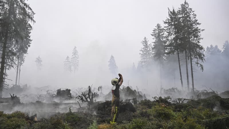 Incendie en Belgique: le feu est "encerclé" mais la situation "reste compliquée", selon les autorités