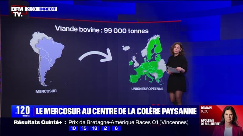 Mercosur: les produits agricoles qui risquent d'être impactés par le traité