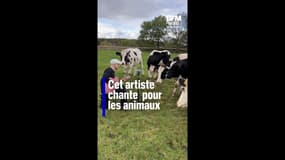 Cet artiste francilien chante et joue de la musique pour les animaux