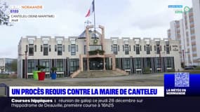 Drogue à Canteleu: le parquet de Bobigny requiert le renvoi de la maire devant le tribunal correctionnel