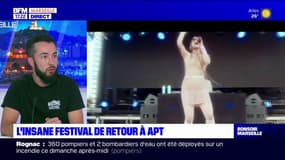 Théo Chatenet, directeur de la communication Insane Festival, estime que le côté écologie du festival plaît aux festivaliers, notamment les plus jeunes