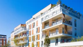 Le Revenu Pierre est historiquement la première plateforme de mise en relation entre les propriétaires des biens et les investisseurs. 