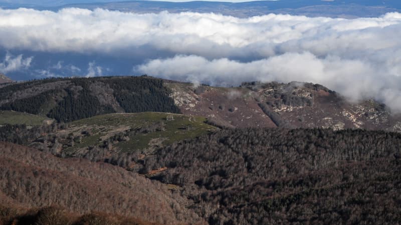 Le parc national des Cévennes (photo d'illustration)