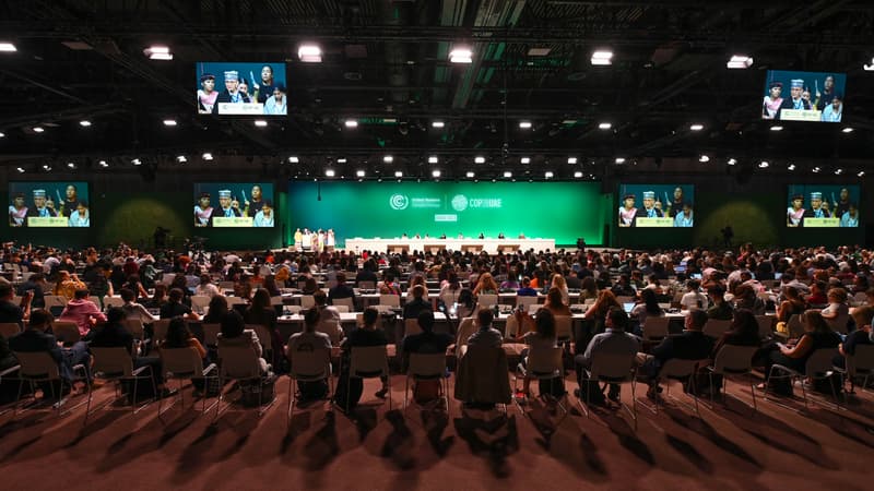 COP28: la France, l'Union européenne et les États-Unis jugent le projet d'accord 