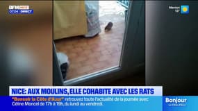 Nice : les annonces de Christian Estrosi dans le quartier Notre-Dame