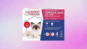Cet antiparasitaire pour chat est l'assurance qu’il ne subisse pas les puces et les tiques 
