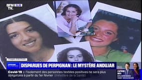 Disparues de Perpignan: le mystère Andujar