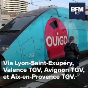 Les TGV à bas coûts Ouigo partiront bientôt de la Gare de Lyon