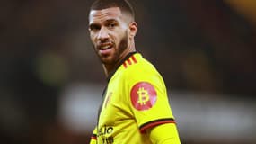 Etienne Capoue