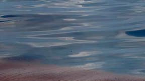 Nappe de pétrole dans les eaux du golfe du Mexique. BP poursuit ses efforts pour enrayer la marée noire mais les courants font craindre que le pétrole n'atteigne les zones touristiques de Floride, à un mois de l'été. /Photo prise le 18 mai 2010/REUTERS/Ha