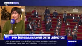 Prix de l'énergie: défavorable à un bouclier tarifaire pour les TPE et les commerçants, la majorité quitte l'hémicycle