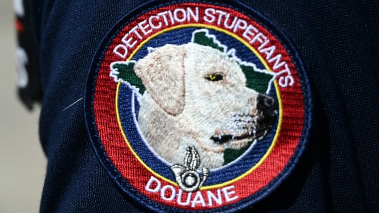 Une brigade de douanes. (photo d'illustration)