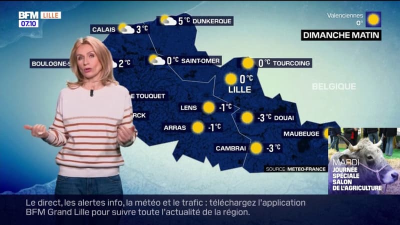 Météo Nord-Pas-de-Calais: une journée ensoleillée ce dimanche, jusqu'à 6°C à Boulogne-sur-Mer