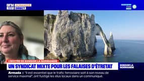 Etretat: les falaises bientôt labellisées Grand site de France?