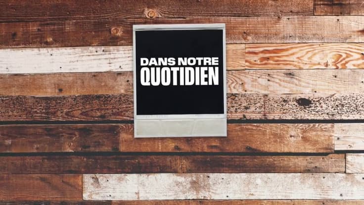 Dans notre quotidien : Animaux à la rue, ces sauveurs du quotidien