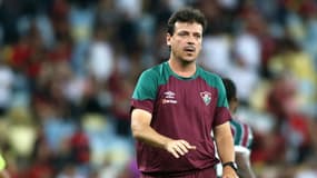 Fernando Diniz