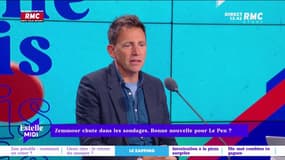 Zemmour chute dans les sondages : bonne nouvelle pour Le Pen ? L'avis de Daniel Riolo