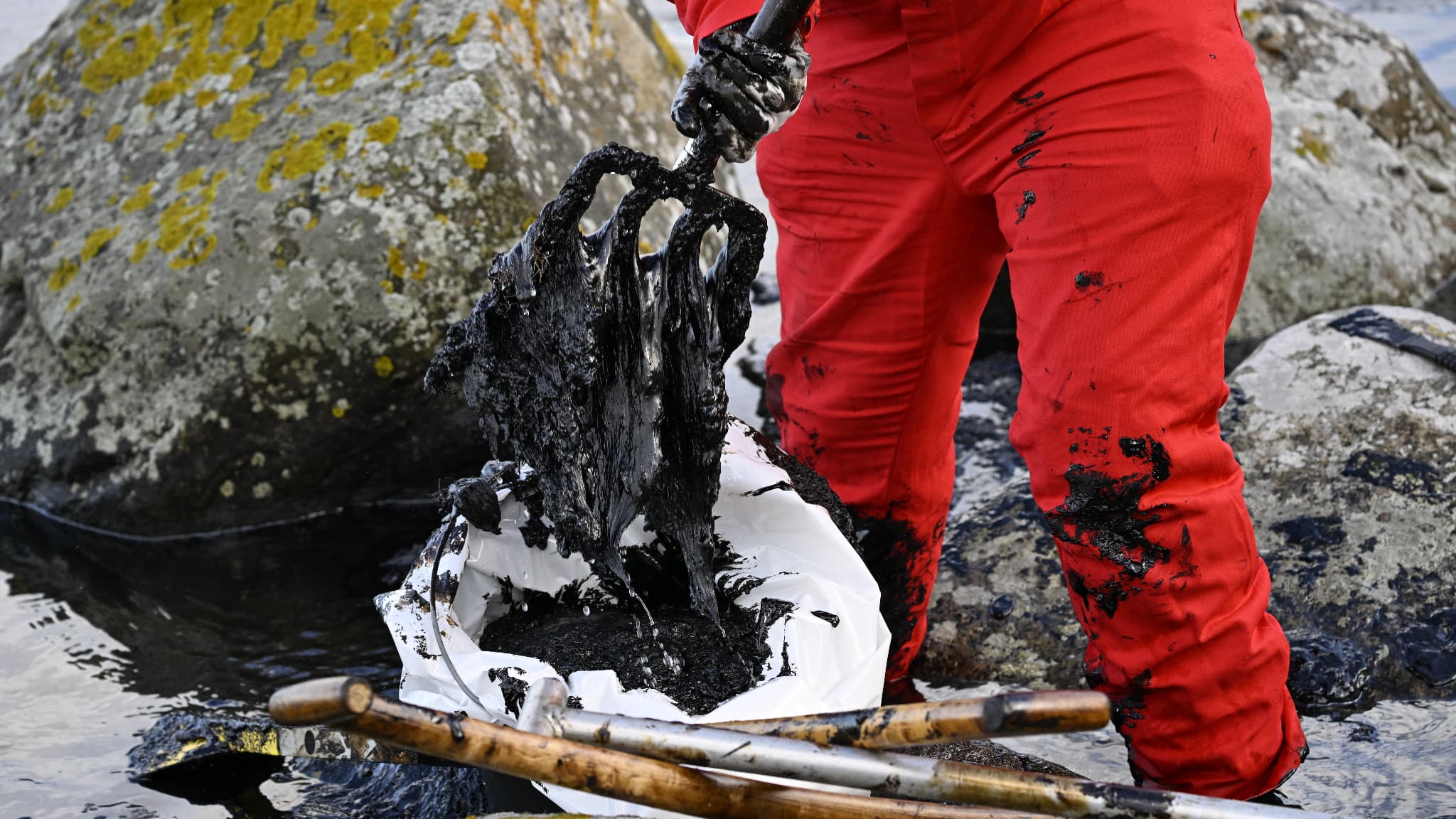 Des personnes nettoient le pétrole dans la réserve naturelle de Spraglehall à Krokas près de Horvik, en Suède, alors que les travaux de dégagement du ferry Marco Polo échoué et les opérations de nettoyage après la marée noire se poursuivent le 23 octobre 2023. Les garde-côtes suédois ont déclaré le 23 octobre 2023 qu'ils travaillaient au nettoyage d'une importante marée noire en mer Baltique après l'échouage d'un ferry transportant des passagers au cours du week-end. Des personnes nettoient le pétrole dans la réserve naturelle de Spraglehall à Krokas près de Horvik, en Suède, alors que les travaux de dégagement du ferry Marco Polo échoué et les opérations de nettoyage après la marée noire se poursuivent le 23 octobre 2023. Les garde-côtes suédois ont déclaré le 23 octobre 2023 qu'ils travaillaient au nettoyage d'une importante marée noire en mer Baltique après l'échouage d'un ferry transportant des passagers au cours du week-end.