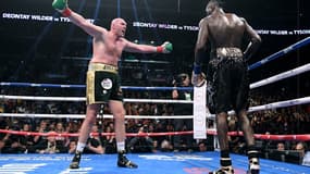 Fury Wilder
