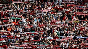 Des supporteurs du Feyenoord, à Rotterdam le 14 mai 2023