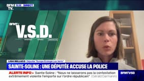 Sainte-Soline: cette députée affirme avoir été "bousculée et frappée par les forces de l'ordre"
