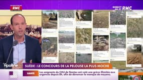 L'histoire de Sébastien Krebs : Suède, le concours de la pelouse la plus moche - 24/10