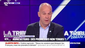 Colère agricole : "Notre ambition, c'est d'attirer l'attention des pouvoirs publics sur la situation de l'agriculture", Arnaud Rousseau - 17/11
