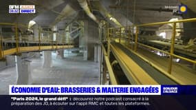 Economie d'eau: brasseries et malterie engagées