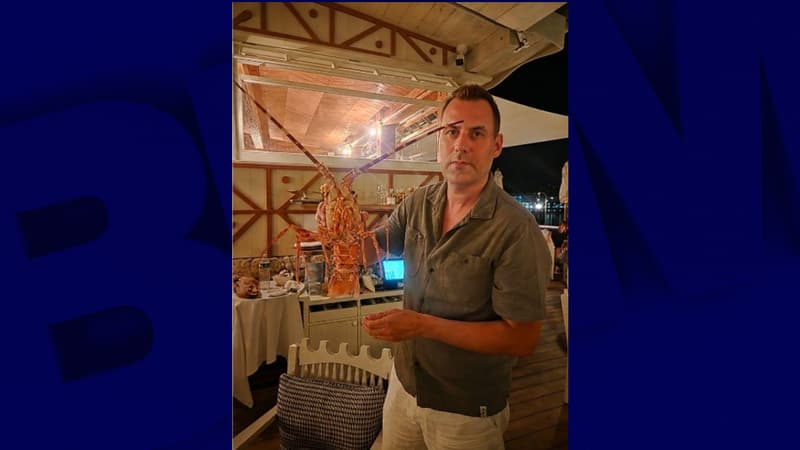 "Un choc immédiat": un défenseur des animaux achète une langouste 300 euros dans un restaurant et la relâche vivante