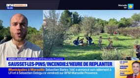 Incendie : l'heure de replanter à Sausset-les-Pins