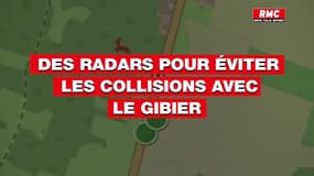 Ces nouveaux radars pour éviter les collisions avec le gibier 