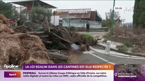 La loi Egalim dans les cantines est-elle respectée ?