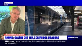Vallée du Rhône: les demandes d'AUTERVR concernant les TER