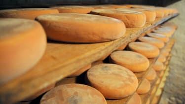 Le reblochon était contaminé à la bactérie E.Coli
