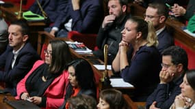 Mathilde Panot et des députés La France insoumise à l'Assemblée nationale le 5 novembre 2024. Photo d'illustration. 