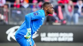 Steve Mandanda - Rennes 