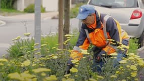 Rochefort (Charente-Maritime) a annoncé avoir décrocher une quatrième fleur au label Villes et villages fleuris. 