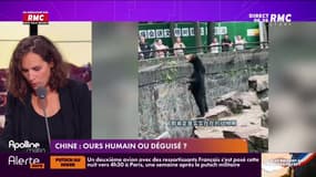 Les histoires d'Anaïs Castagna : En Chine, ours humain ou déguisé ? - 02/08