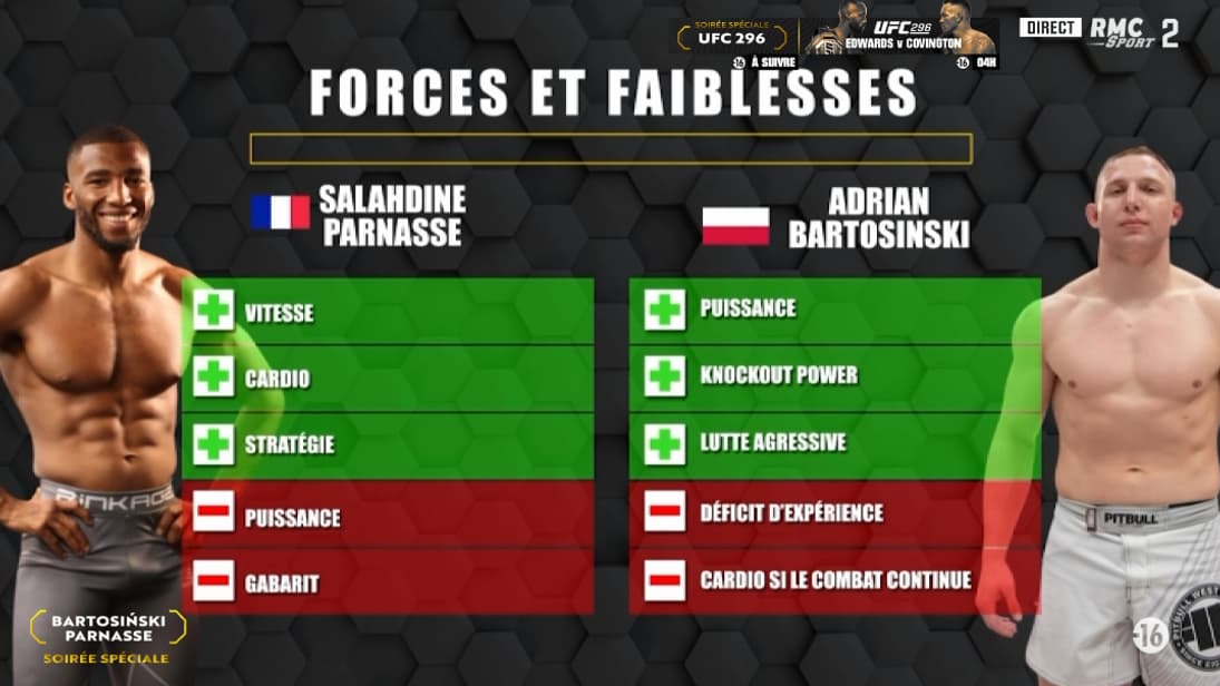Forces et faiblesses de Parnasse-Bartosinski Forces et faiblesses de Parnasse-Bartosinski