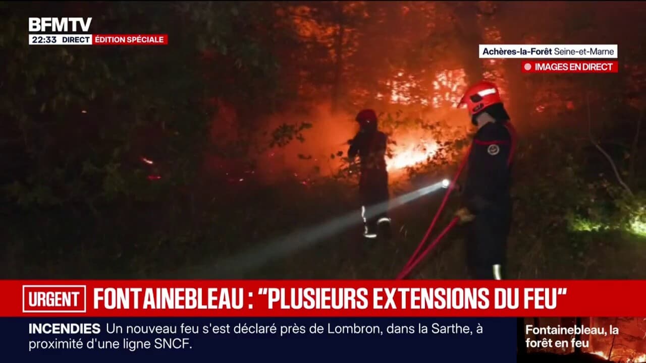 Fontainebleau Ormanı'nda Yangın: Alevler İlerlemeye Devam Ediyor