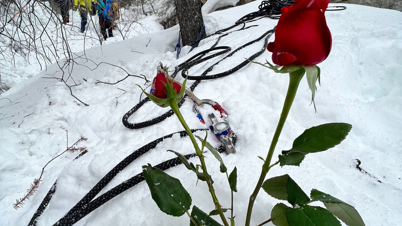 Deux roses déposées là où a perdu la vie une alpiniste dans l'Utah le 2 avril dernier.