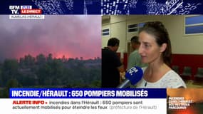 Incendies dans l'Hérault: "Il y avait trop de fumée, des cendres, c'était vraiment irrespirable", raconte une habitante d'Aumelas évacuée