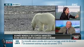 25.000 espèces sont en danger à travers le monde: comment lutter?