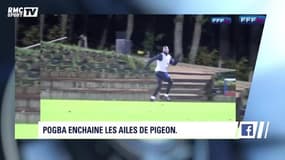 L'actu Sport.Net spéciale Paul Pogba