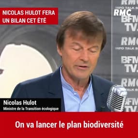 Nicolas Hulot évaluera son action au gouvernement cet été