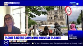 Reconstruction du toit de Notre-Dame: Anne Souyris s'inquiète d'une "décision complètement surréaliste" et craint un "vrai grand scandale"