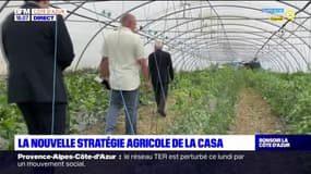 Alpes-Maritimes: la nouvelle stratégie agricole de la Casa