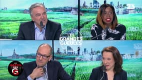 Le Match des GG - 20/02