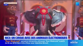 Nice: un cirque avec des animaux électroniques